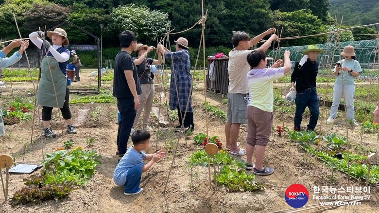 기사 2023.07.03.(월) 4-2 (사진 2). 관악구 가족들이 함께 텃밭 경작 체험에 참여하고 있다.jpg